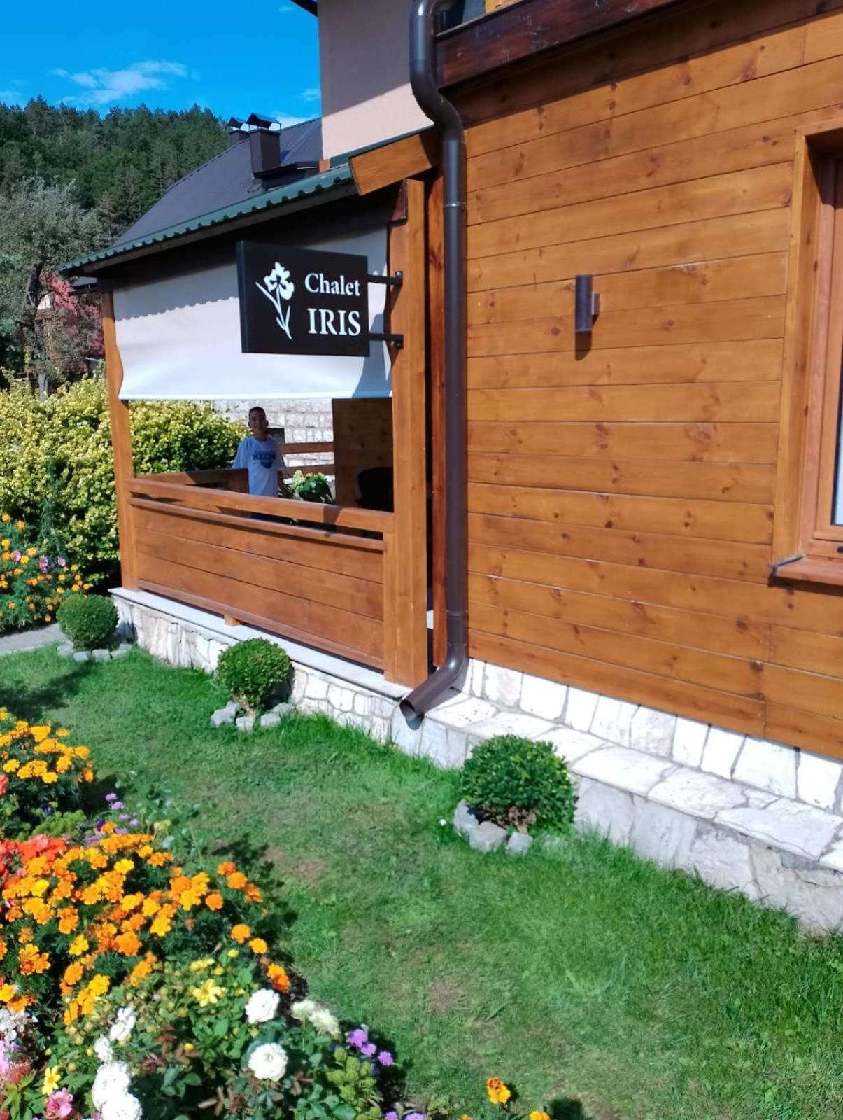 Chalet Iris With Sauna Apartment Kolašin Екстериор снимка